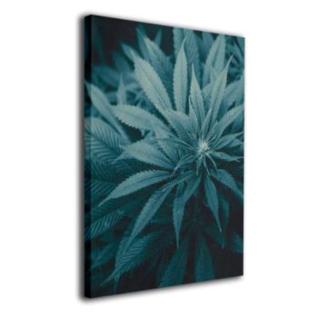 Decoracion para Oficina cuadro con imagen de hoja de cañamo 16 x 20 Pulgadas