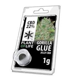 COGOLLO CONCENTRADO 22% CBD de la Variedad Golira Glue